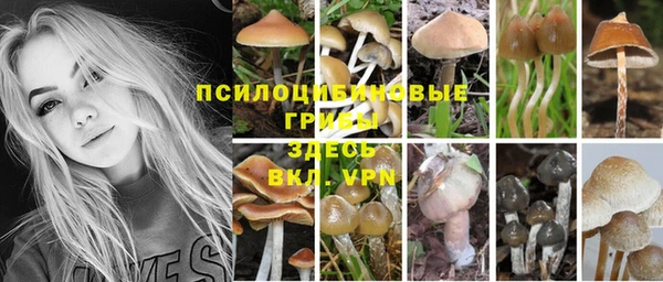 тгк Волоколамск
