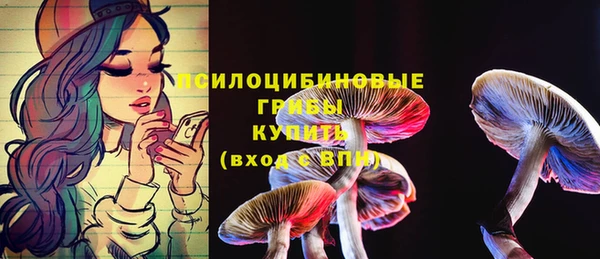 тгк Волоколамск