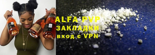 стафф Губаха